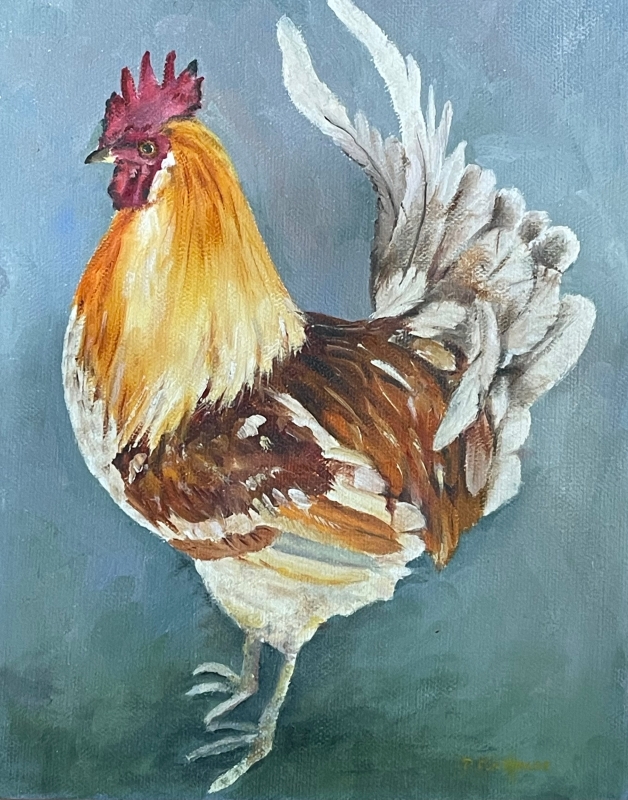 Cocky Rooster by artist Pat Flathouse